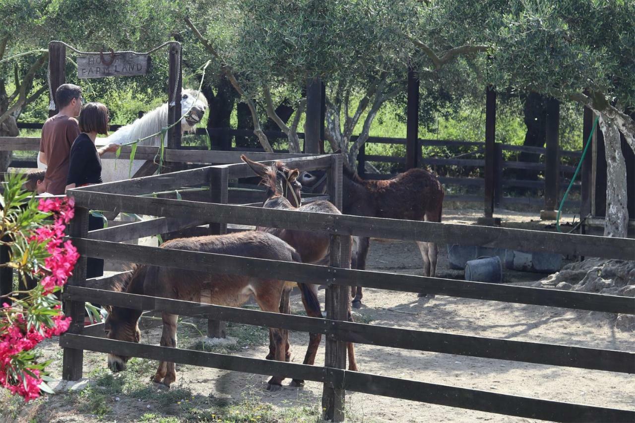 Honigtal Farmland Villa Agios Georgios Pagon Exterior photo
